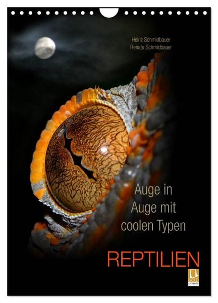 Produktbild: Auge in Auge mit coolen Typen - REPTILIEN (Wandkalender 2026 DIN A4 hoch), CALVENDO Monatskalender