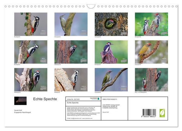 Produktbild: Echte Spechte (Wandkalender 2026 DIN A3 quer), CALVENDO Monatskalender