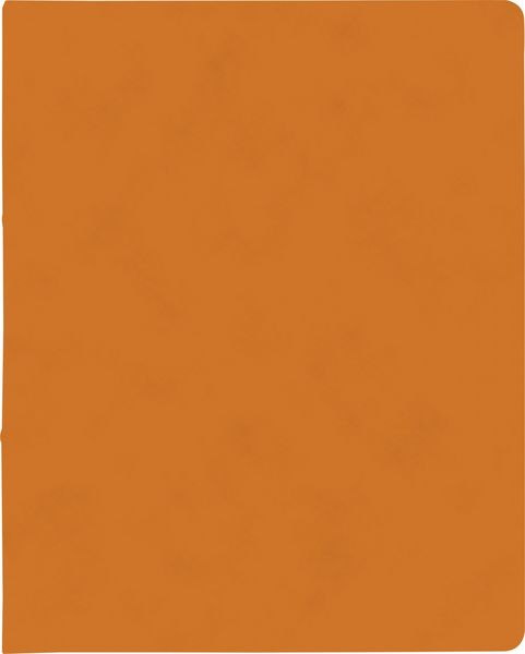 Produktbild: Brunnen Ringbuch FACT!plus &brvbar; A4, 2 Ringe, F&uuml;llh&ouml;he: 15 mm, orange