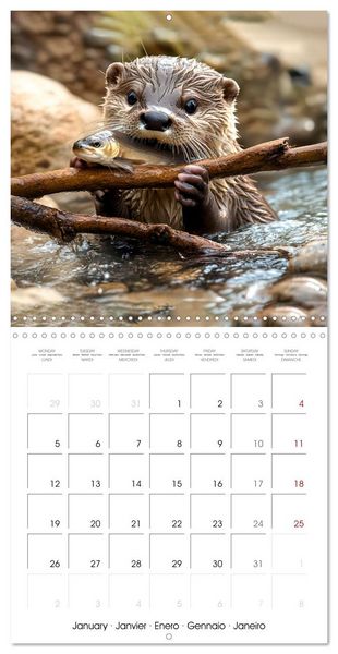 Produktbild: Cute Otter Moments (Wall Calendar 2026 12 &times; 12 Inch) CALVENDO 12 Month Wall Calendar