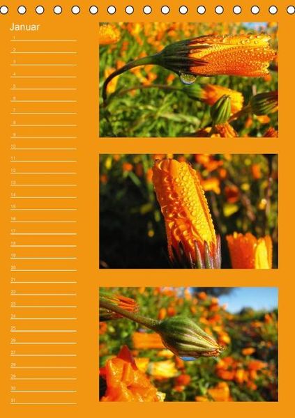 Produktbild: Zauberwelt der Blumen - Eiskristalle & Wasserperlen / Geburtstagskalender (Tischkalender immerw&auml;hrend DIN A5 hoch)