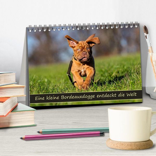 Produktbild: Eine kleine Bordeauxdogge entdeckt die Welt (Tischkalender 2026 DIN A5 quer), CALVENDO Monatskalender