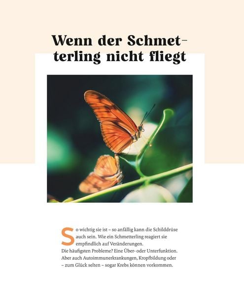 Produktbild: Meine Gesundheitsretter aus der Natur f&uuml;r eine starke Schilddr&uuml;se