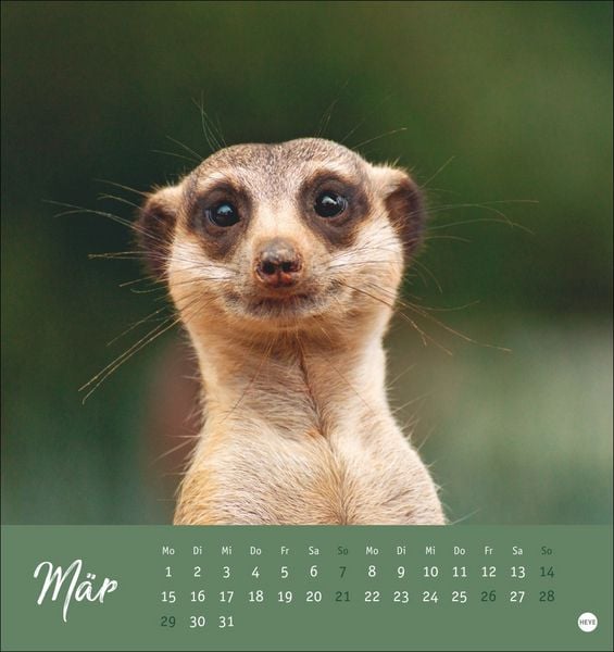Produktbild: Erdm&auml;nnchen Postkartenkalender 2027