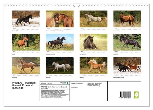 Produktbild: PFERDE - Zwischen Himmel, Erde und Hufschlag (Wandkalender 2027 DIN A3 quer), CALVENDO Monatskalender