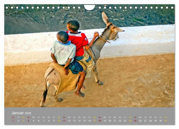 Produktbild: Lamu - Geheimtipp in Kenia (Wandkalender 2026 DIN A4 quer), CALVENDO Monatskalender