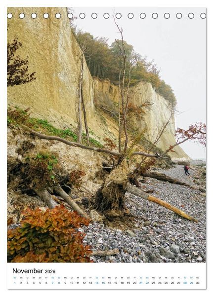 Produktbild: Insel R&uuml;gen - Kreide, Landschaft, Leuchtt&uuml;rme (Tischkalender 2026 DIN A5 hoch), CALVENDO Monatskalender