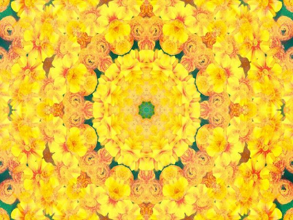 Produktbild: CALVENDO Puzzle Gelbe Energie | 1000 Teile Lege-Gr&ouml;&szlig;e 64x48cm Foto-Puzzle f&uuml;r gl&uuml;ckliche Stunden