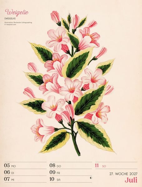 Produktbild: Ars Floralis Wochenplaner Kalender 2027
