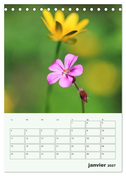 Produktbild: Les fleurs, &eacute;ternelles &eacute;phem&egrave;res (Calendrier de bureau 2027 DIN A5 horizontal), CALVENDO calendrier mensuel