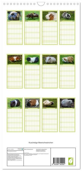 Produktbild: Familienplaner 2027 - Kuschelige Meerschweinchen mit 5 Spalten (Wandkalender, 21 x 45 cm) CALVENDO