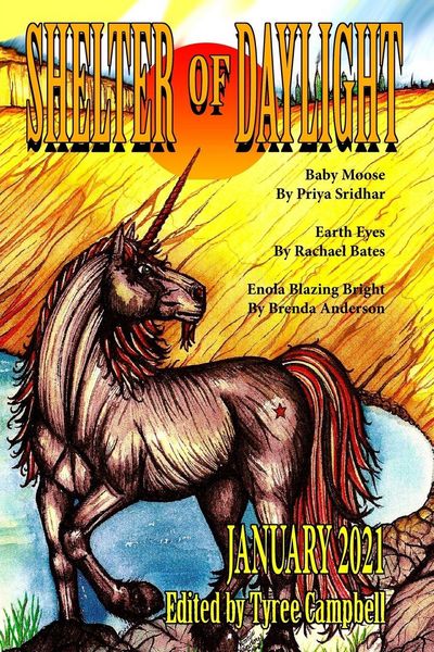 Produktbild: Shelter of Daylight January 2021
