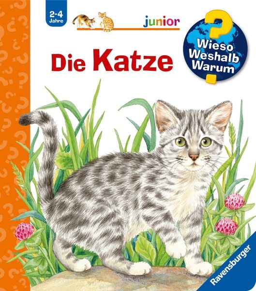 Die Katze / Wieso? Weshalb? Warum? Junior Bd. 21, Gebundene Ausgabe von Patricia Mennen, Ravensburger Verlag GmbH