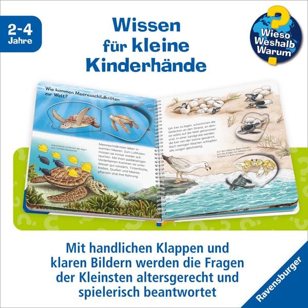 Produktbild: Wieso? Weshalb? Warum? junior, Band 57 - Tiere im Meer