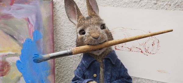 Produktbild: Peter Hase