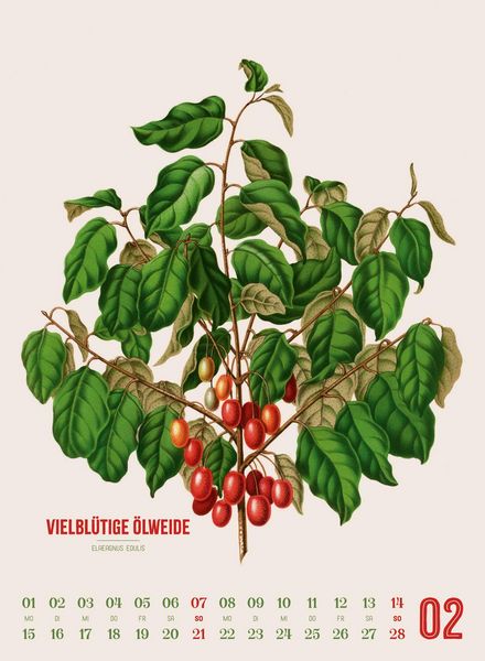 Produktbild: Obstgarten Kalender 2027 | Apfel, Birne, Pflaume & Co.