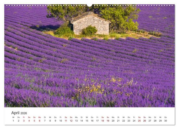 Produktbild: Tr&auml;ume aus Lavendel, Provence in Rosa bis Lila (Wandkalender 2026 DIN A2 quer), CALVENDO Monatskalender