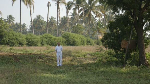 Produktbild: Der Doktor aus Indien
