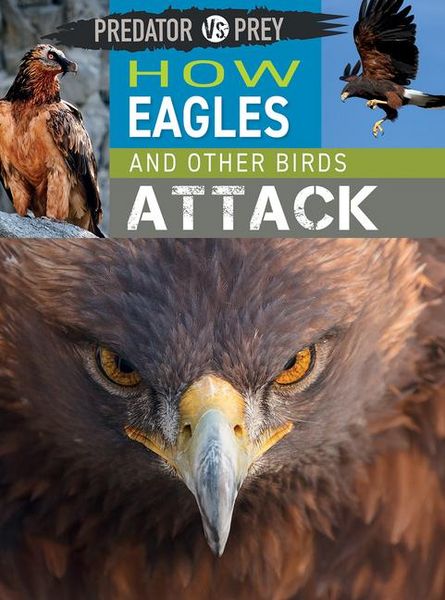 Produktbild: How Eagles and Other Birds Attack