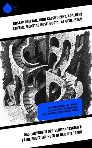 Produktbild: Das Labyrinth der Verwandtschaft: Familienbeziehungen in der Literatur
