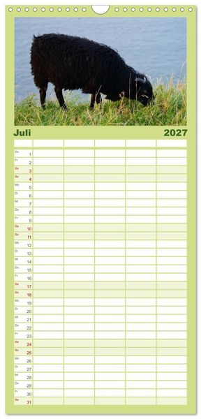 Produktbild: Familienplaner 2027 - Das Leben der Schafe mit 5 Spalten (Wandkalender, 21 x 45 cm) CALVENDO
