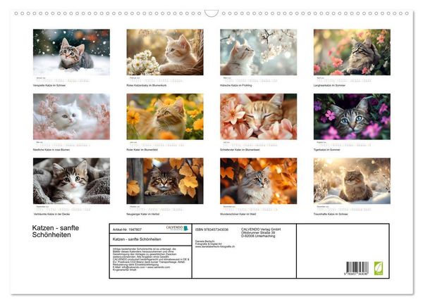 Produktbild: Katzen - sanfte Sch&ouml;nheiten (Wandkalender 2026 DIN A2 quer), CALVENDO Monatskalender