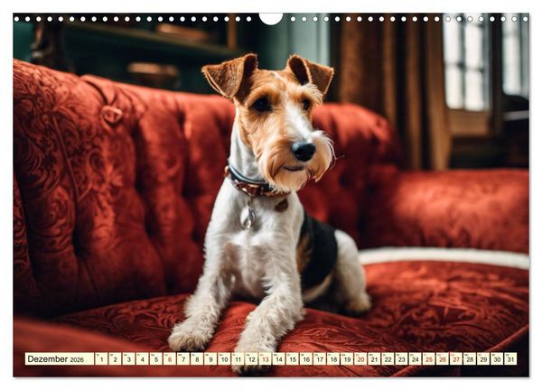 Produktbild: Drahthaar-Foxterrier (Wandkalender 2026 DIN A3 quer), CALVENDO Monatskalender