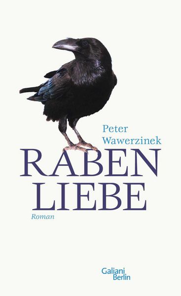 Produktbild: Rabenliebe