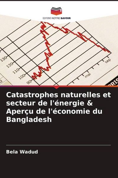 Produktbild: Catastrophes naturelles et secteur de l'&eacute;nergie & Aper&ccedil;u de l'&eacute;conomie du Bangladesh