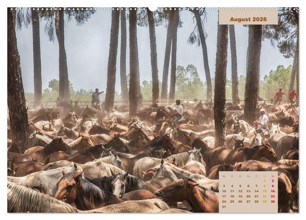 Produktbild: Pferde - Andalusiens wilder Westen (Wandkalender 2026 DIN A2 quer), CALVENDO Monatskalender