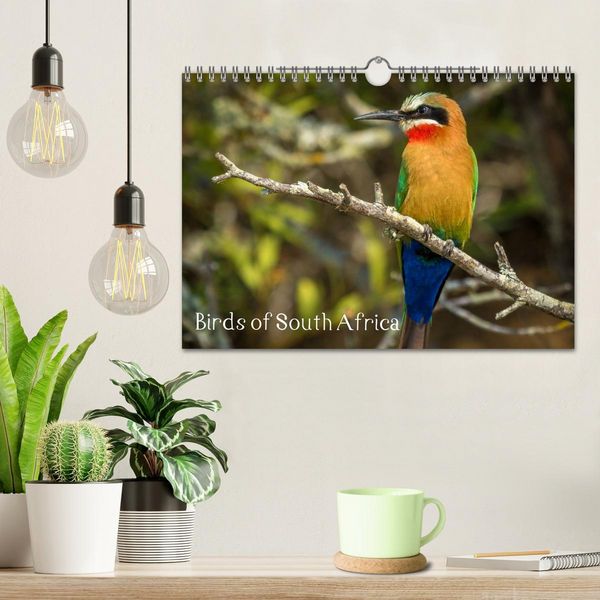 Produktbild: Birds of South Africa (Wall Calendar 2026 DIN A4 landscape), CALVENDO 12 Month Wall Calendar