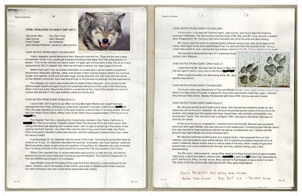 Produktbild: The X-Files: The Official Archives: Cryptids, Biological Anomalies, and Parapsychic Phenomena