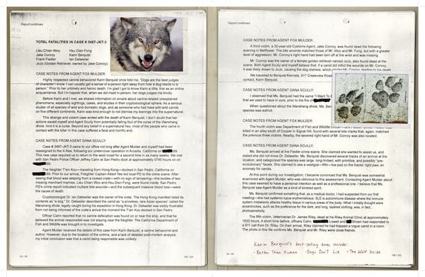 Produktbild: The X-Files: The Official Archives