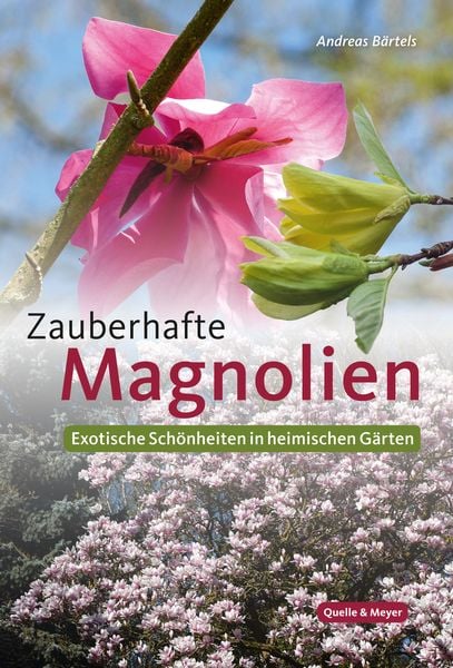 Produktbild: Zauberhafte Magnolien