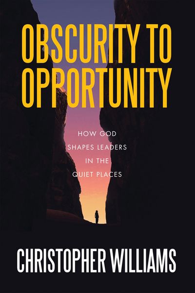 Produktbild: Obscurity to Opportunity