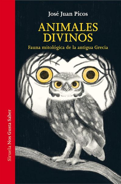 Produktbild: Animales divinos