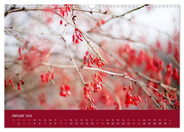 Produktbild: Farbwechsel - Die Farben der vier Jahreszeiten (Wandkalender 2026 DIN A3 quer), CALVENDO Monatskalender