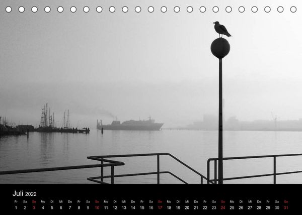 Produktbild: Kieler V&ouml;gel (Tischkalender 2022 DIN A5 quer)