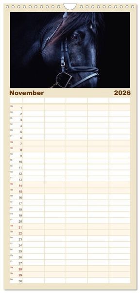 Produktbild: Familienplaner 2026 - Pferde - kraftvolle Eleganz mit 5 Spalten (Wandkalender, 21 x 45 cm) CALVENDO