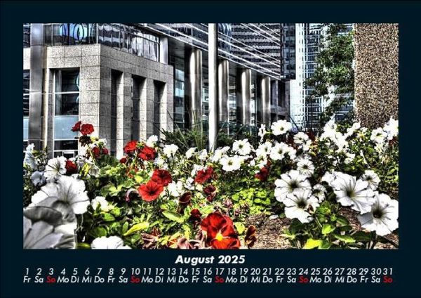 Produktbild: Blumenkalender 2025 Fotokalender DIN A5