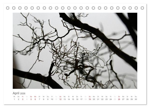 Produktbild: einfach schwarz-wei&szlig; (Tischkalender 2026 DIN A5 quer), CALVENDO Monatskalender