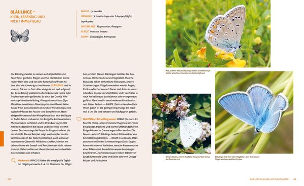 Produktbild: Wo die wilden N&uuml;tzlinge wohnen