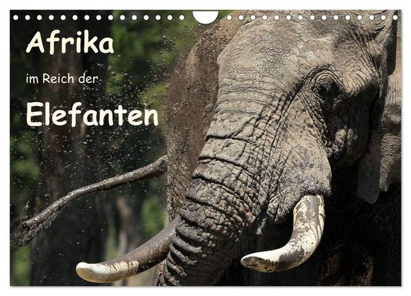 Afrika - im Reich der Elefanten (Wandkalender 2026 DIN A4 quer), CALVENDO Monatskalender