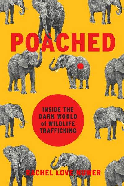Produktbild: Poached
