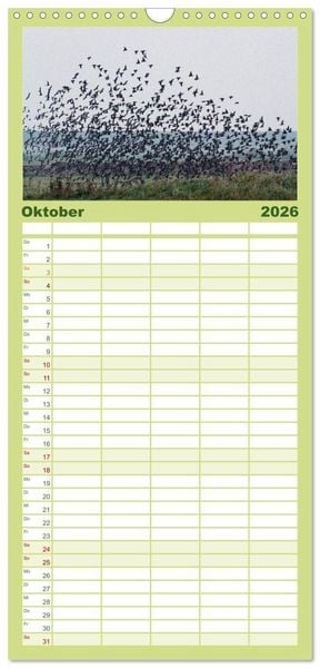 Produktbild: Familienplaner 2026 - Die Insel R&ouml;m&ouml; mit 5 Spalten (Wandkalender, 21 x 45 cm) CALVENDO