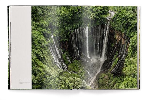 Produktbild: Tropics & Traditions