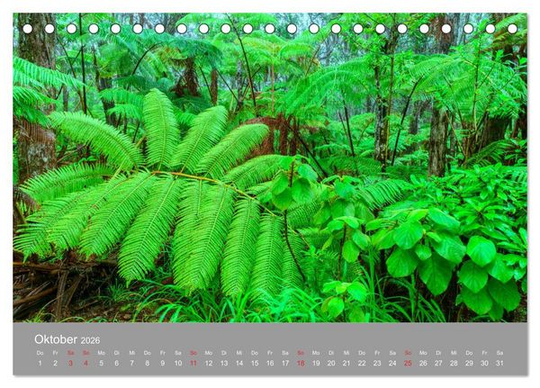 Produktbild: SPIRIT OF HAWAII (Tischkalender 2026 DIN A5 quer), CALVENDO Monatskalender