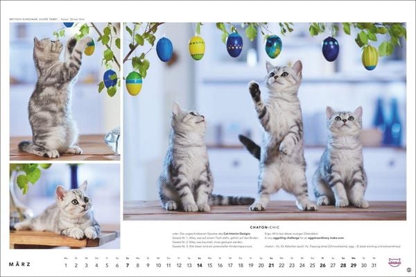 Produktbild: Whiskas Katzenkalender 2027