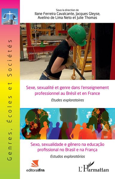 Produktbild: Sexe, sexualite et genre dans l'enseignement professionnel au Bresil et en France