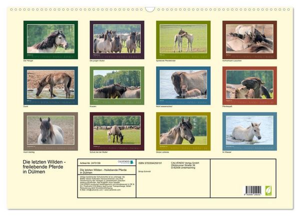 Produktbild: Die letzten Wilden - freilebende Pferde in D&uuml;lmen (Wandkalender 2027 DIN A2 quer), CALVENDO Monatskalender